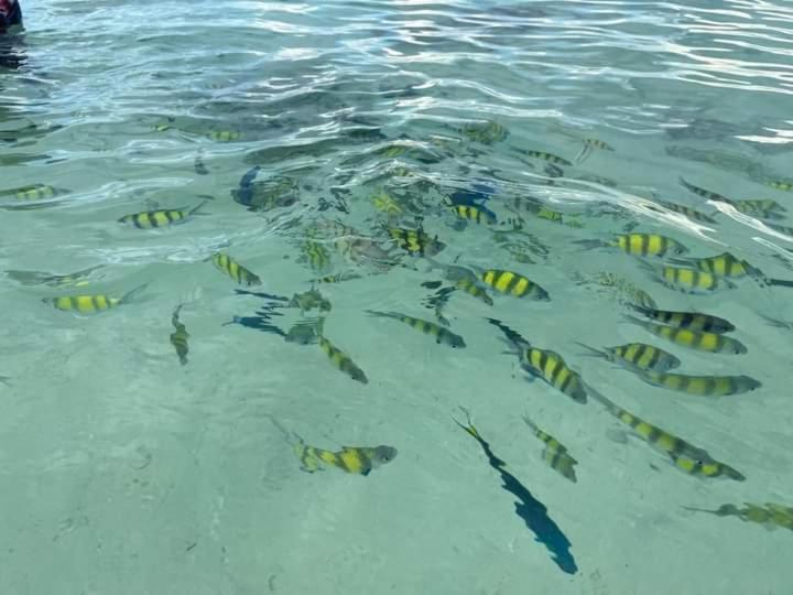 Dalum Beachhouse Kepulauan Phi Phi Bagian luar foto